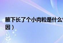 腋下長(zhǎng)了個(gè)小肉粒是什么情況（腋下長(zhǎng)了個(gè)小肉粒是什么原因）