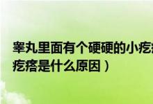 睪丸里面有個(gè)硬硬的小疙瘩是什么引起的（睪丸里面有個(gè)硬疙瘩是什么原因）
