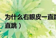 為什么右眼皮一直跳個不停（為什么右眼皮一直跳）