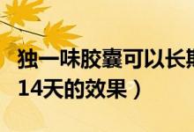 獨(dú)一味膠囊可以長期服用嗎（獨(dú)一味膠囊吃了14天的效果）