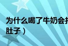 為什么喝了牛奶會(huì)打嗝（為什么喝了牛奶會(huì)拉肚子）