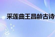 采蓮曲王昌齡古詩(shī)講解（采蓮曲 王昌齡）