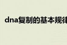 dna復制的基本規(guī)律（DNA復制的特點是）