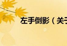 左手倒影（關于左手倒影的介紹）