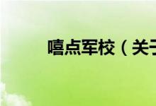 嘻點軍校（關于嘻點軍校的介紹）