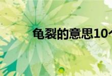 龜裂的意思10個字(龜裂的意思)