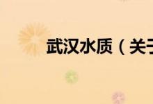 武漢水質（關于武漢水質的介紹）