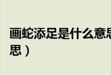 畫(huà)蛇添足是什么意思簡(jiǎn)單（畫(huà)蛇添足是什么意思）