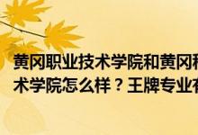 黃岡職業(yè)技術(shù)學(xué)院和黃岡科技職業(yè)學(xué)院（2022年黃岡職業(yè)技術(shù)學(xué)院怎么樣？王牌專業(yè)有哪些？）