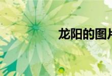 龍陽(yáng)的圖片（龍陽(yáng)之癖）