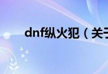 dnf縱火犯（關于dnf縱火犯的介紹）