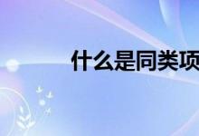 什么是同類項（什么是同類項）