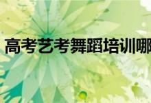高考藝考舞蹈培訓哪家靠譜（高考藝考舞蹈）