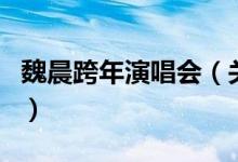 魏晨跨年演唱會（關于魏晨跨年演唱會的介紹）