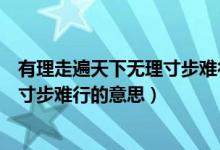 有理走遍天下無(wú)理寸步難行類(lèi)似的句子（有理走遍天下無(wú)理寸步難行的意思）