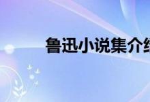 魯迅小說(shuō)集介紹（魯迅小說(shuō)簡(jiǎn)介）