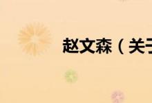 趙文森（關于趙文森的介紹）