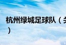 杭州綠城足球隊(duì)（關(guān)于杭州綠城足球隊(duì)的介紹）