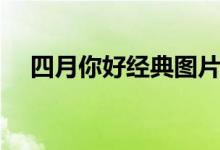 四月你好經典圖片（四月你好經典語錄）