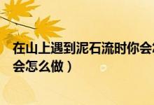 在山上遇到泥石流時你會怎么做的（在山上遇到泥石流時你會怎么做）
