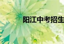 陽江中考招生計劃（陽江中考）