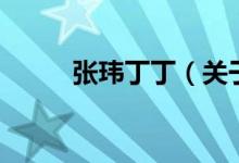 張瑋丁?。P(guān)于張瑋丁丁的介紹）