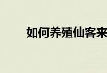 如何養(yǎng)殖仙客來（如何養(yǎng)殖富貴竹）