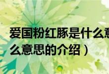 愛國粉紅豚是什么意思（關于愛國粉紅豚是什么意思的介紹）