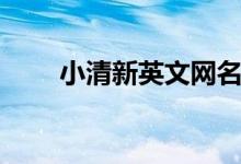 小清新英文網(wǎng)名（小清新英文網(wǎng)名）