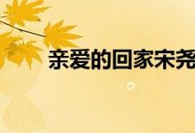 親愛的回家宋堯（親愛的回家結局）