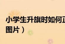 小學(xué)生升旗時(shí)如何正確敬禮（小學(xué)生正確敬禮圖片）