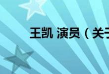 王凱 演員（關于王凱 演員的介紹）