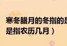 寒冬臘月的冬指的是陰歷幾月（寒冬臘月的冬是指農歷幾月）