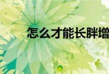怎么才能長(zhǎng)胖增肥（怎么才能長(zhǎng)胖）