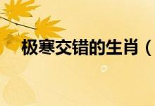 極寒交錯的生肖（極寒交錯是什么生肖）