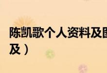 陳凱歌個人資料及圖片（陳凱歌個人資料簡介及）