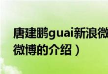 唐建鵬guai新浪微博（關于唐建鵬guai新浪微博的介紹）