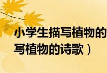 小學(xué)生描寫植物的詩(shī)歌簡(jiǎn)短10句（小學(xué)生描寫植物的詩(shī)歌）