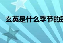 玄英是什么季節(jié)的別稱（玄英是哪個(gè)季節(jié)）