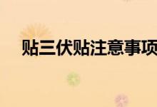 貼三伏貼注意事項(xiàng)（貼三伏貼注意事項(xiàng)）