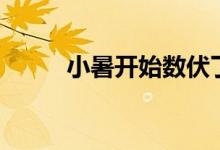 小暑開始數伏了嗎（小暑開鵬翼）