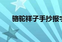 駱駝祥子手抄報(bào)字（駱駝祥子手抄報(bào)）