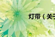 燈帶（關于燈帶的介紹）