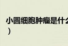 小圓細(xì)胞腫瘤是什么意思（小圓細(xì)胞什么意思）