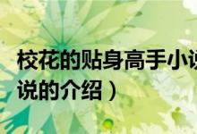 校花的貼身高手小說(shuō)（關(guān)于?；ǖ馁N身高手小說(shuō)的介紹）