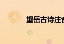 望岳古詩(shī)注音版（望岳譯文）