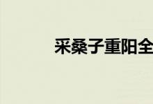 采桑子重陽(yáng)全文原文（采桑子）