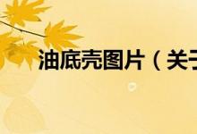 油底殼圖片（關于油底殼圖片的介紹）