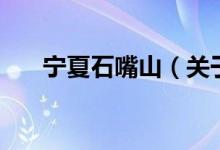 寧夏石嘴山（關于寧夏石嘴山的介紹）