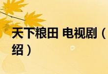 天下糧田 電視?。P(guān)于天下糧田 電視劇的介紹）